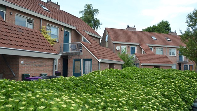 Afbeelding bij Wij verbeteren 43 huizen in Surhuisterveen