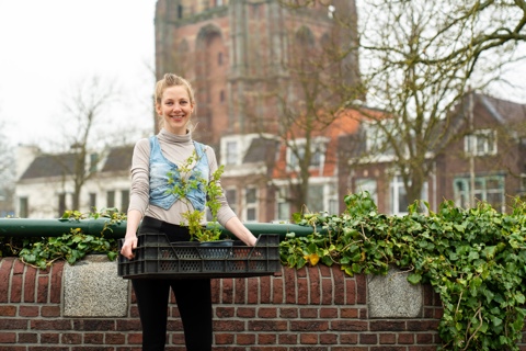 Straatboer vergroent 25 voortuinen van bewoners in Leeuwarden